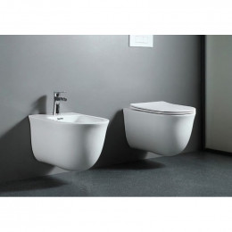 Сиденье для унитаза Aquatek AQ0102-00 белое с микролифтом