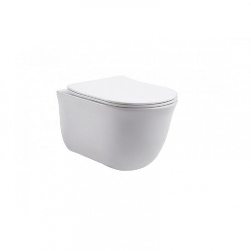 Сиденье для унитаза Aquatek AQ0102-00 белое с микролифтом