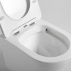 Унитаз подвесной Vincea Piatti VT1-11S с сиденьем soft-close белый