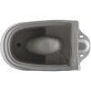 Унитаз-компакт Aquanet Ray-C 326011/326012 с сиденьем белый