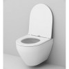 Подвесной унитаз с инсталляцией Am.Pm Spirit V2.0 FlashClean IS47001.701700 с сиденьем микролифт и белой клавишей смыва